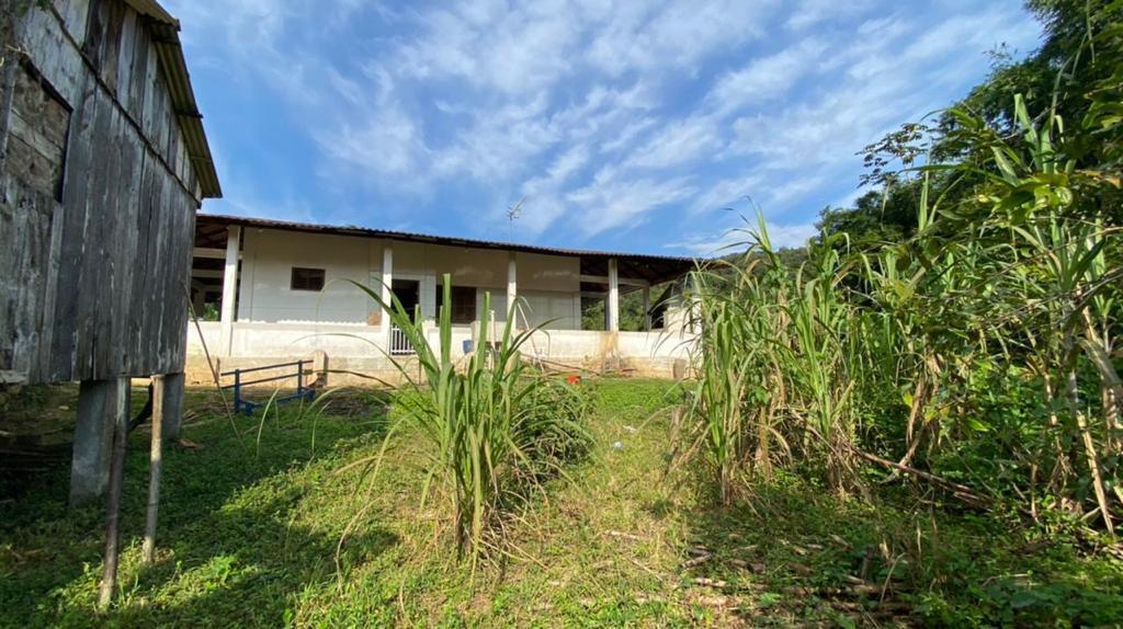 Fazenda à venda com 3 quartos, 12000m² - Foto 46