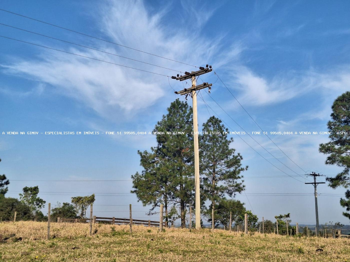 Fazenda à venda com 4 quartos, 80000m² - Foto 48