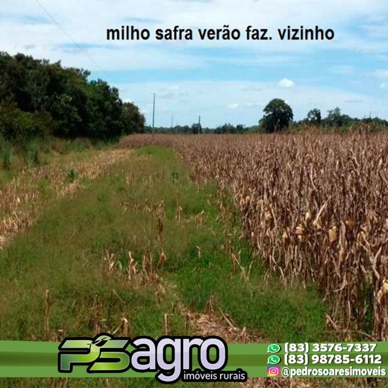 Fazenda à venda, 430000M2 - Foto 14