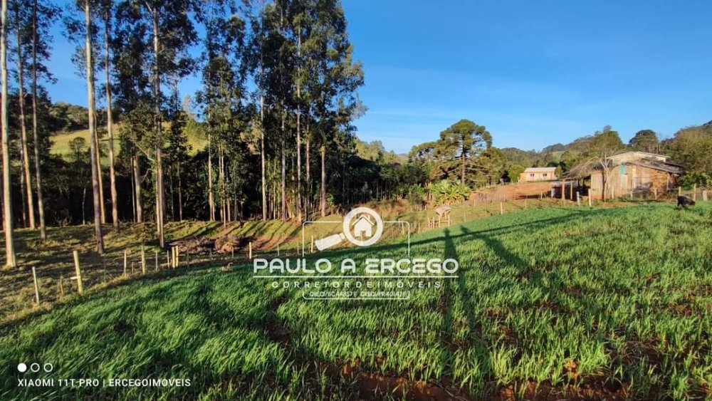 Chácara, 7 quartos, 2 hectares - Foto 14