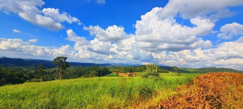 Fazenda à venda, 20535m² - Foto 10