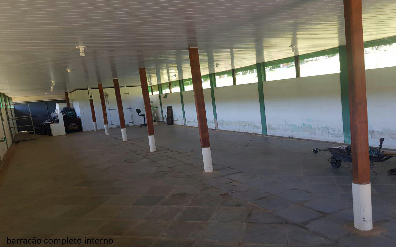Sítio à venda com 7 quartos, 16600m² - Foto 4