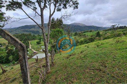 Chácara, 2 hectares - Foto 12