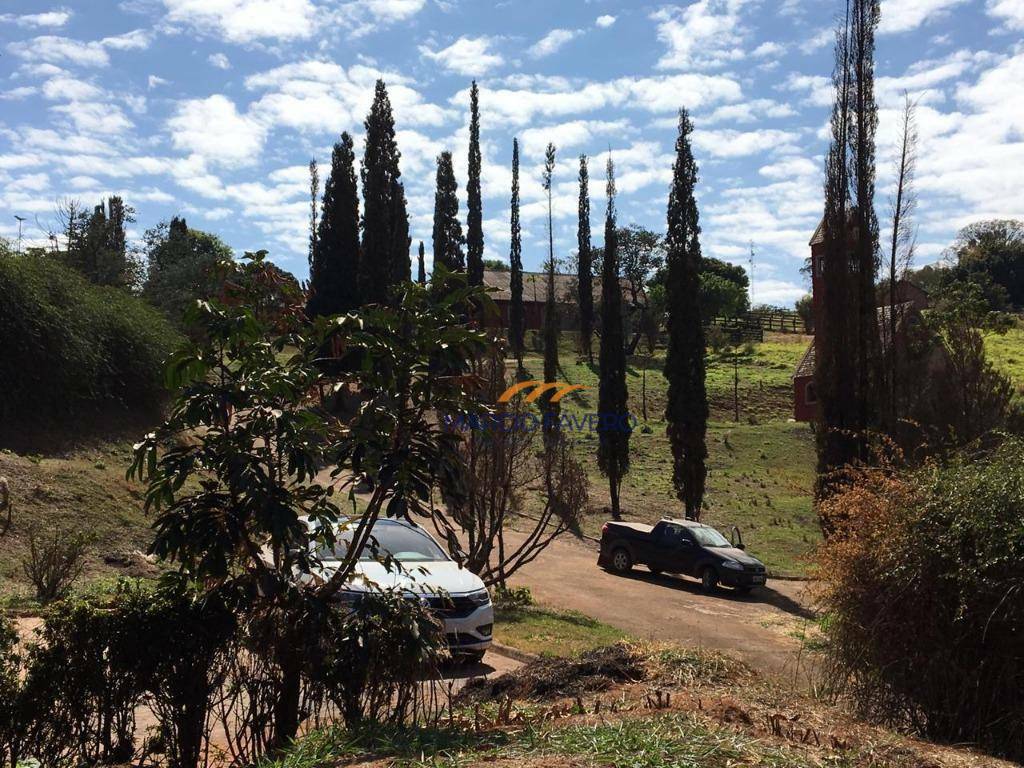 Haras e Área Rural Padrão à venda, 193600M2 - Foto 9