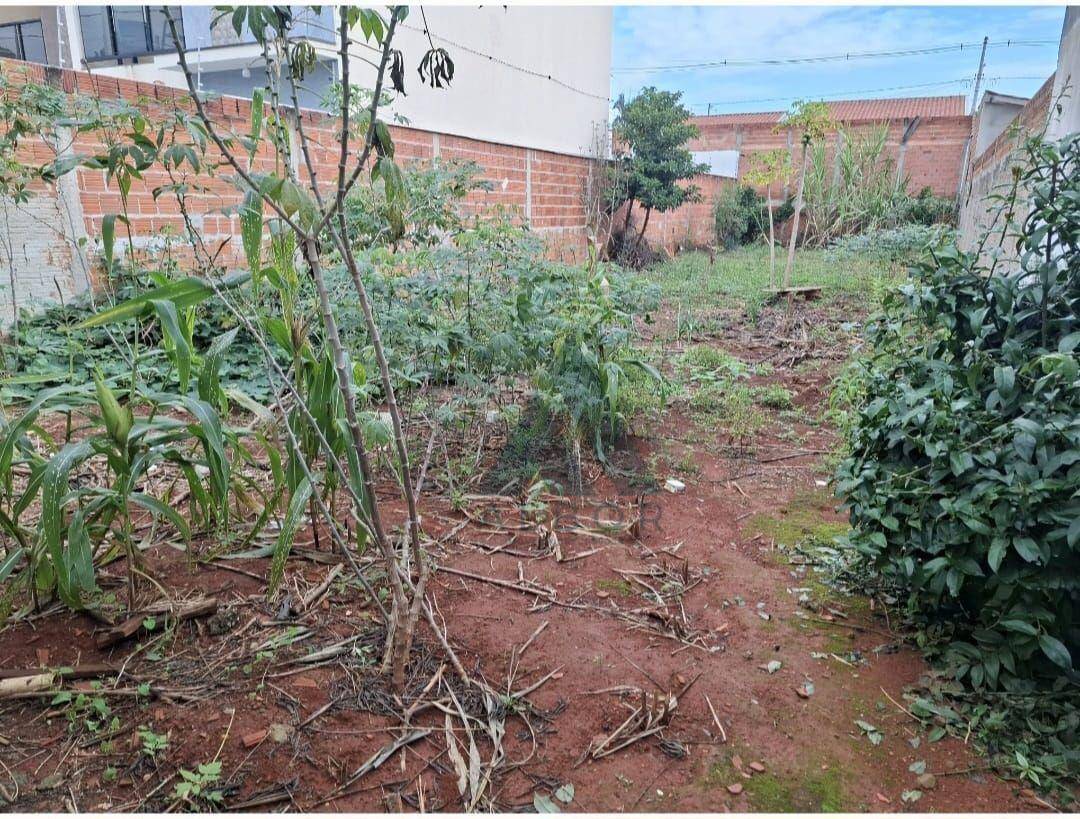 Terreno, 256 m² - Foto 1