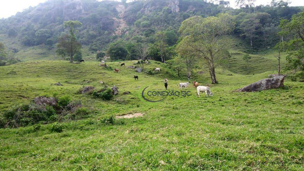 Fazenda à venda com 3 quartos, 2970000M2 - Foto 19