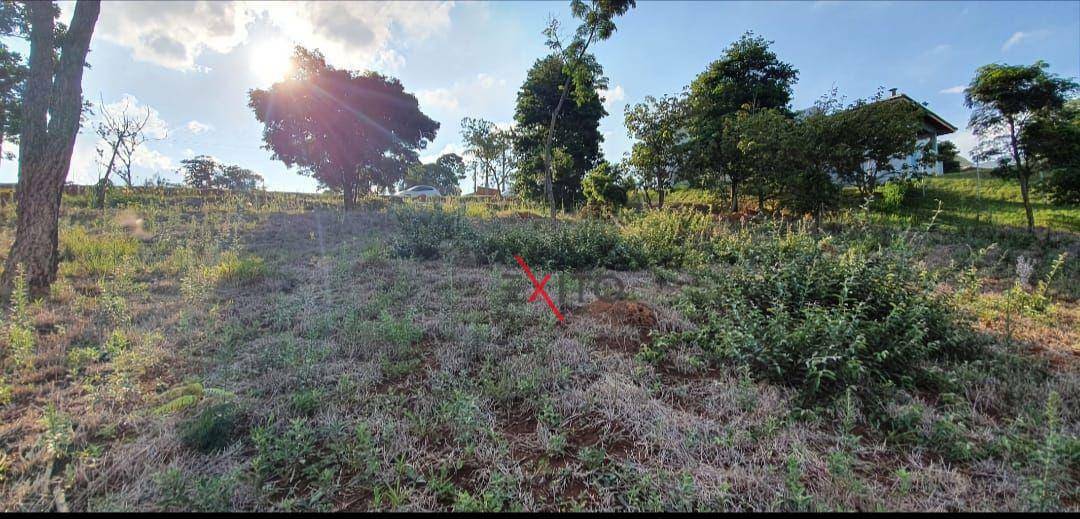 Loteamento e Condomínio à venda, 1000M2 - Foto 3