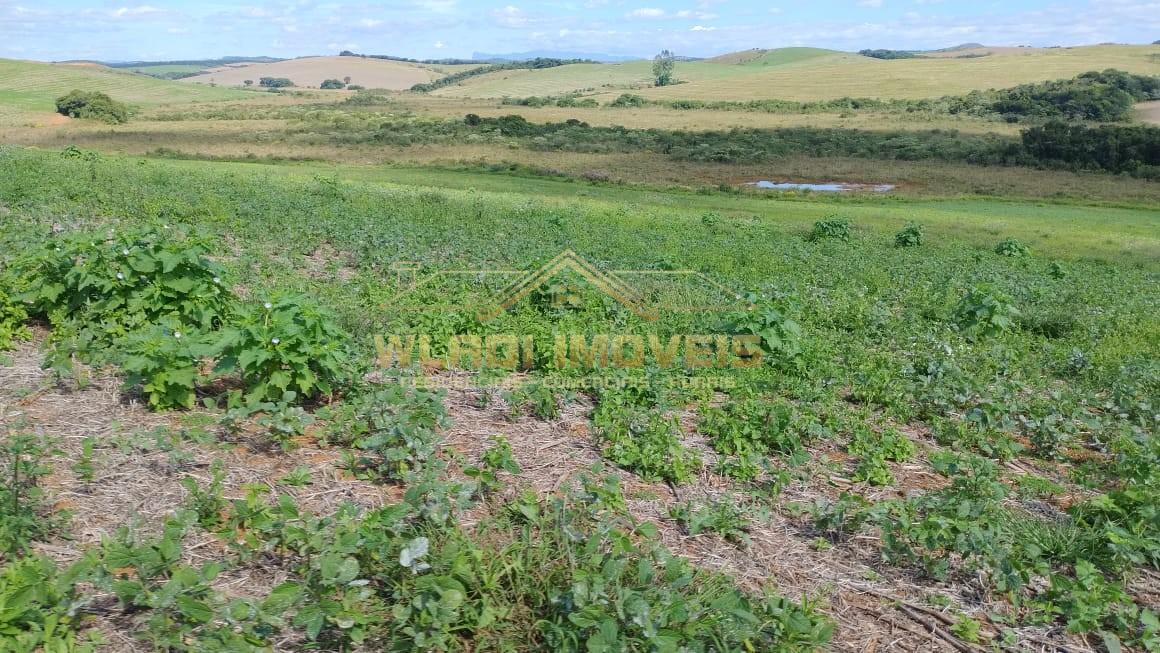 Fazenda à venda, 160m² - Foto 40