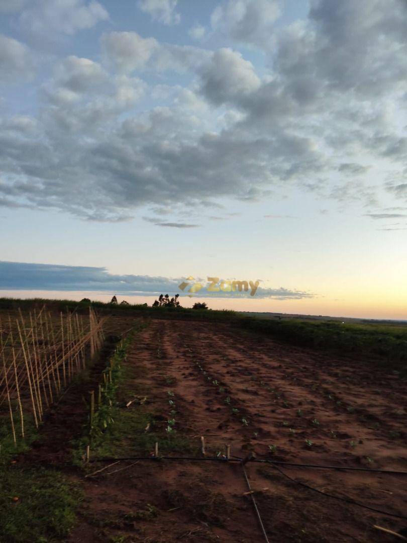 Chácara à venda com 2 quartos, 30000M2 - Foto 10
