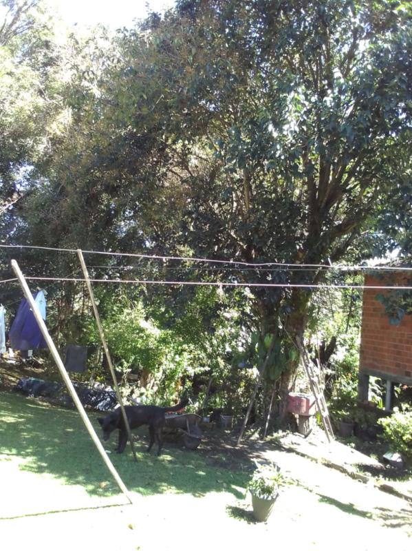 Casa à venda com 2 quartos, 90m² - Foto 12