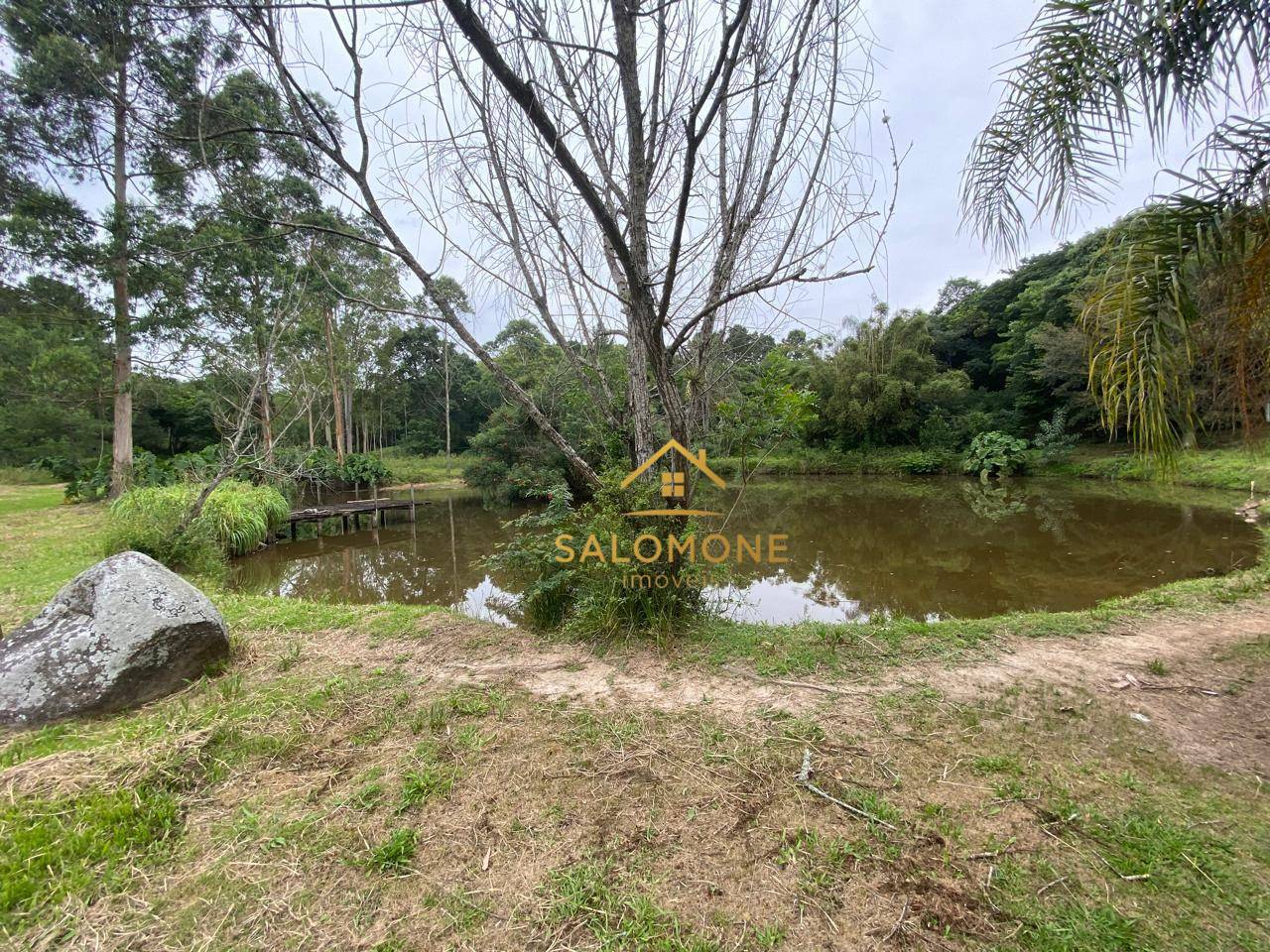 Sítio, 7 quartos, 3 hectares - Foto 5