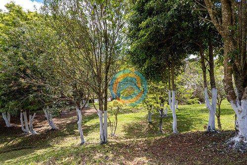 Terreno, 3300 m² - Foto 16