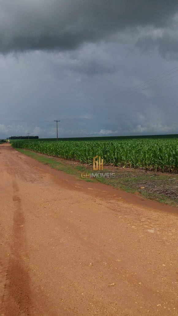 Fazenda-Sítio-Chácara, 9000 hectares - Foto 2