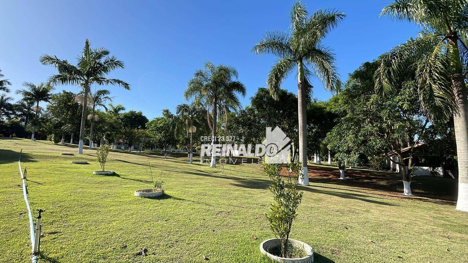 Sítio à venda com 2 quartos, 800m² - Foto 12