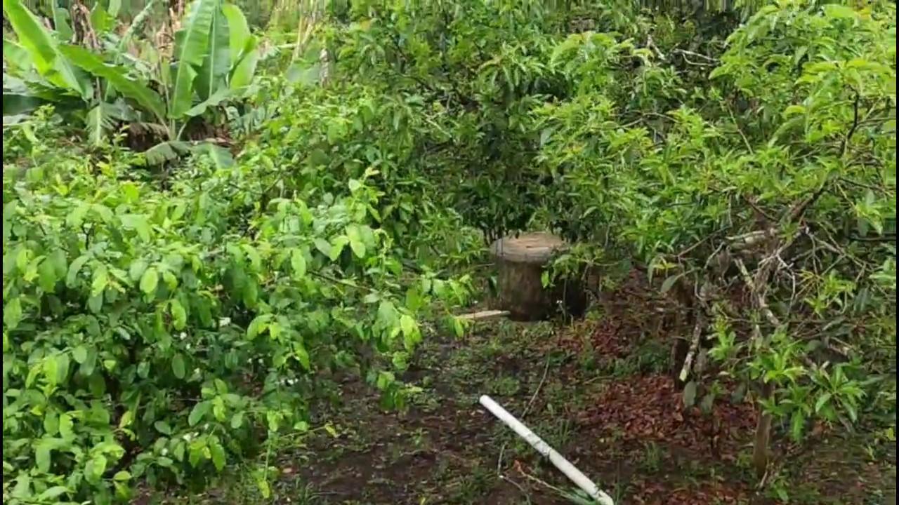 Casa de Condomínio à venda com 3 quartos, 1200m² - Foto 21