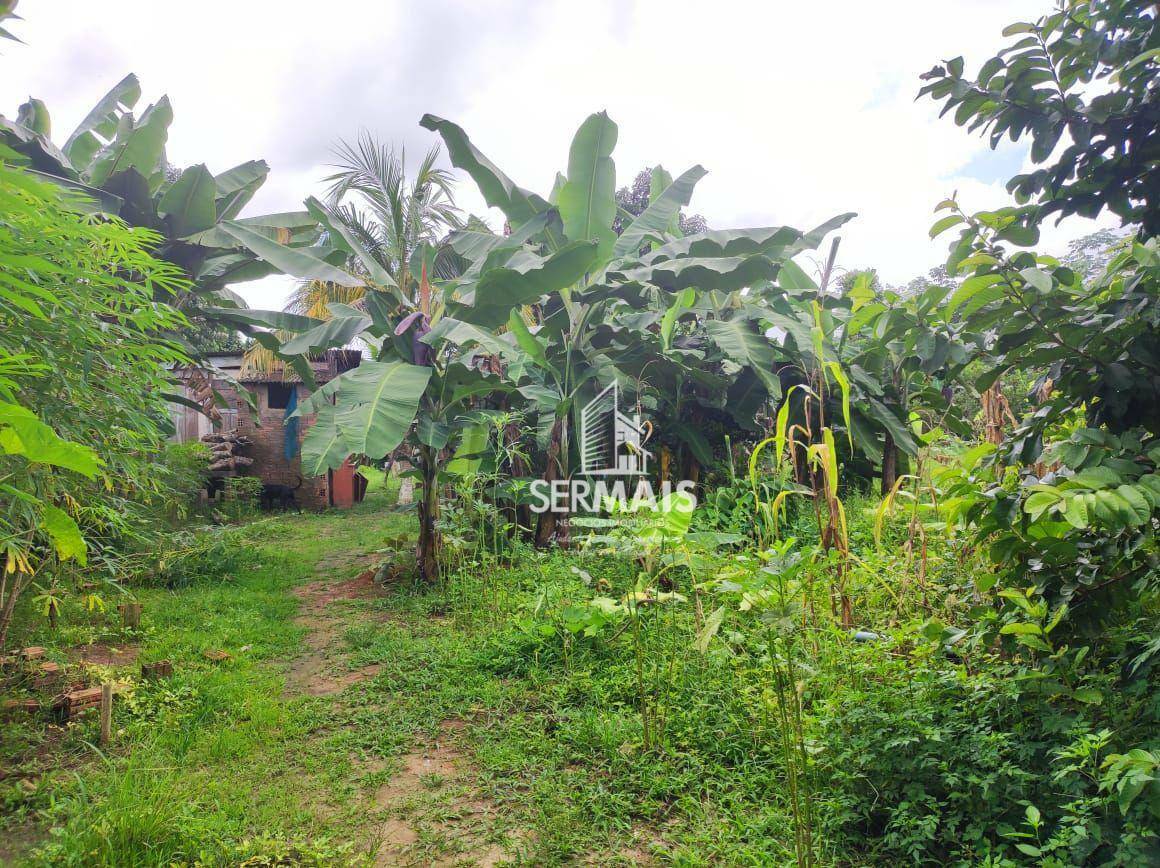 Chácara à venda com 4 quartos, 4000M2 - Foto 9