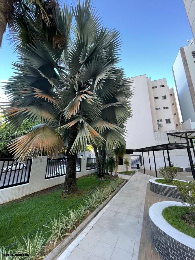 Apartamento à venda com 4 quartos, 143m² - Foto 13