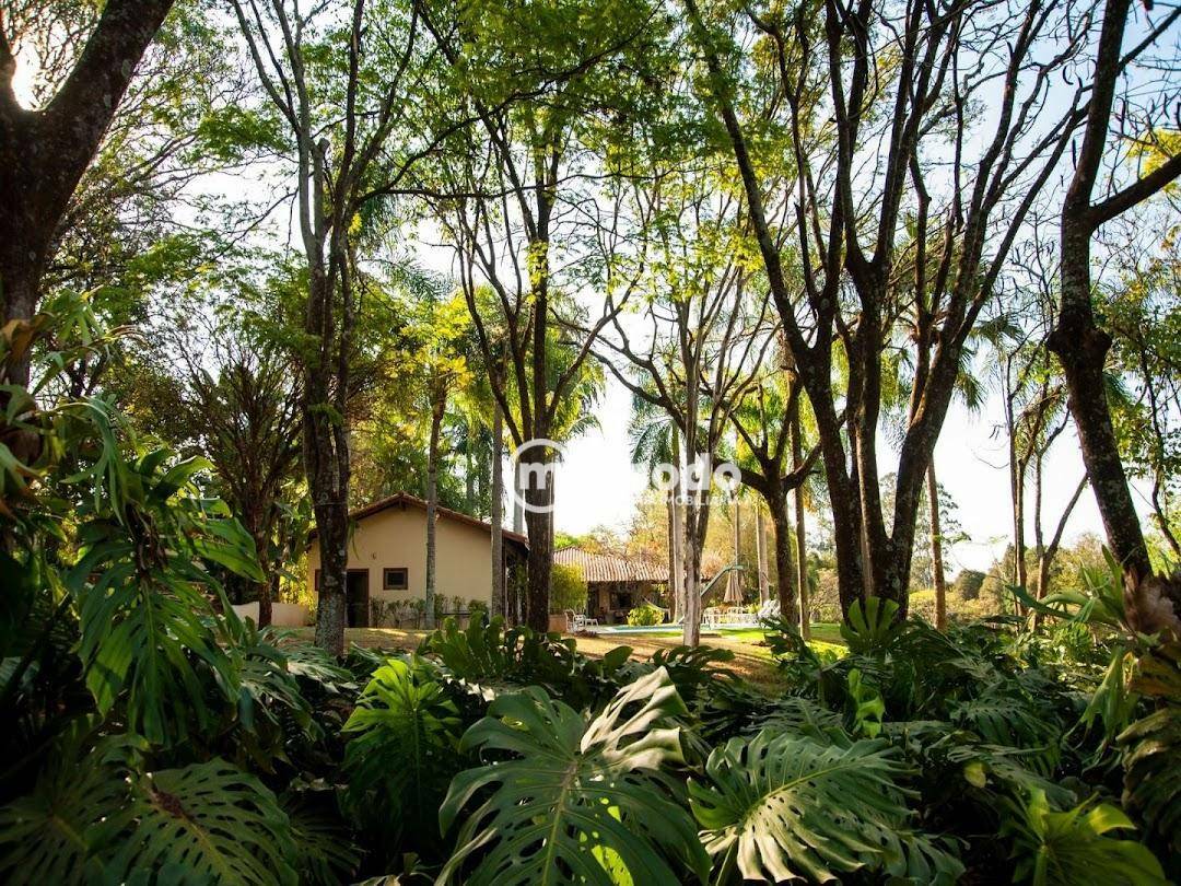 Sítio à venda com 6 quartos, 1600m² - Foto 16