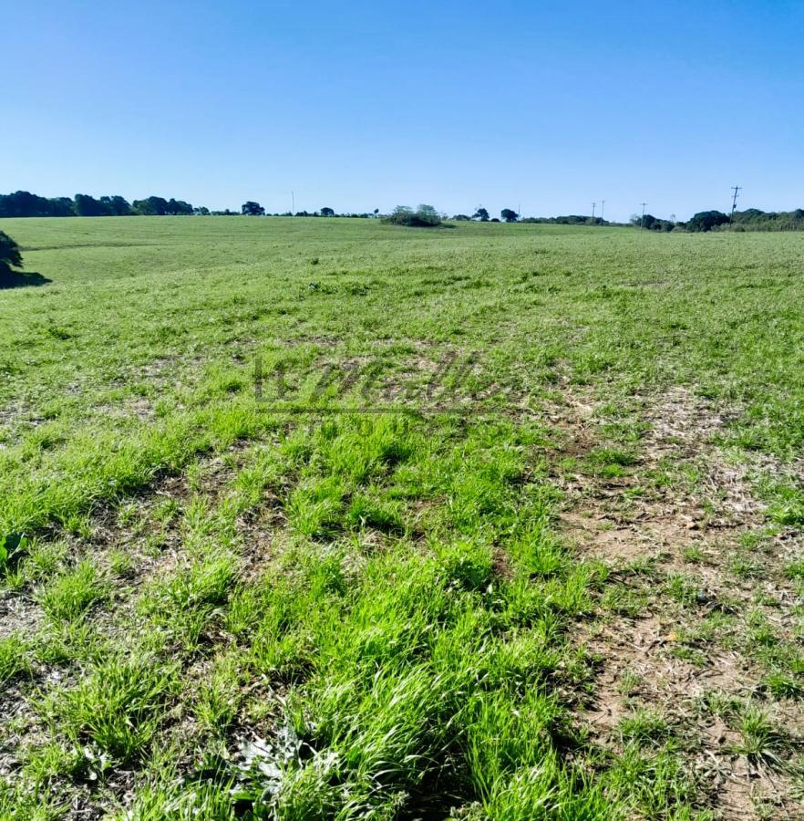 Fazenda à venda, 375m² - Foto 5