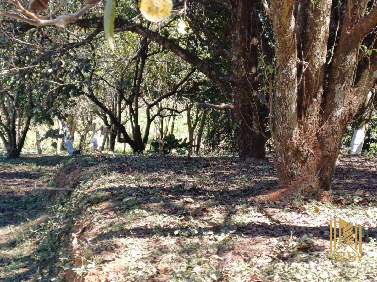 Chácara à venda com 2 quartos, 10500M2 - Foto 8