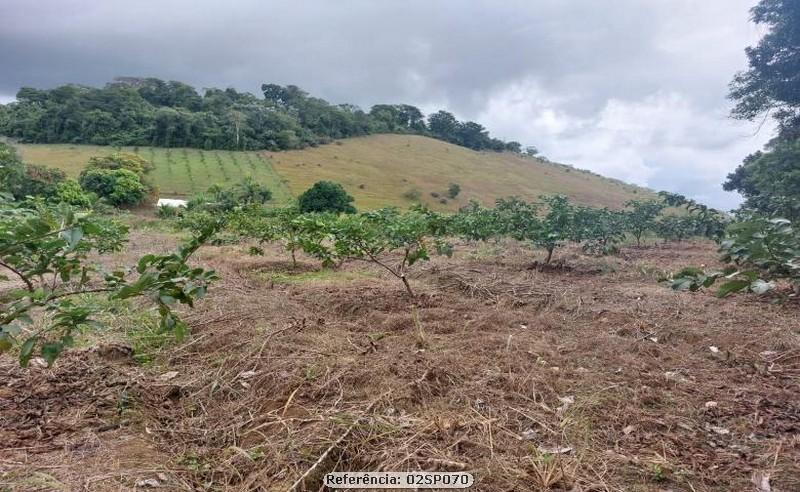 Fazenda à venda com 2 quartos, 170000m² - Foto 15