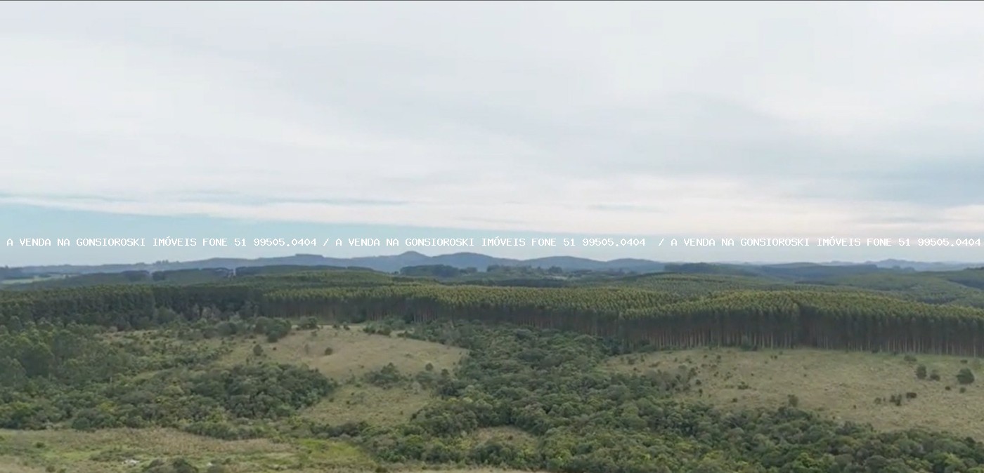 Fazenda à venda, 630000m² - Foto 8