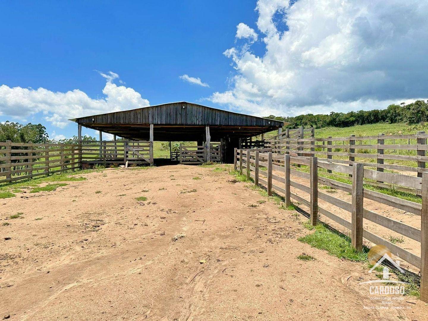 Fazenda à venda com 3 quartos, 1065000M2 - Foto 3