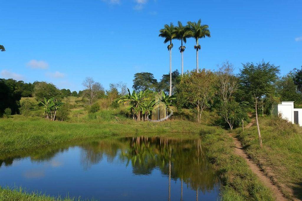 Terreno, 3 hectares - Foto 1