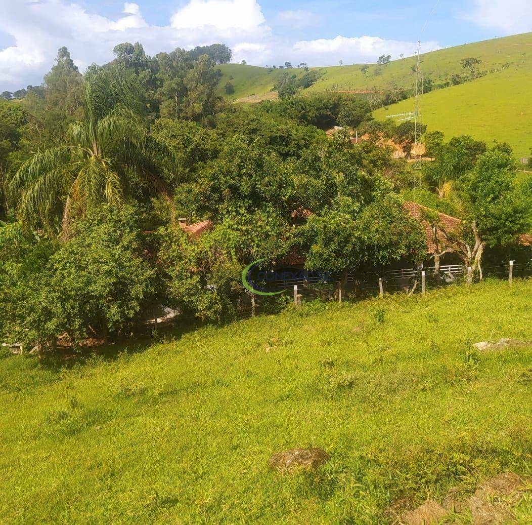 Chácara à venda com 5 quartos, 25000M2 - Foto 11