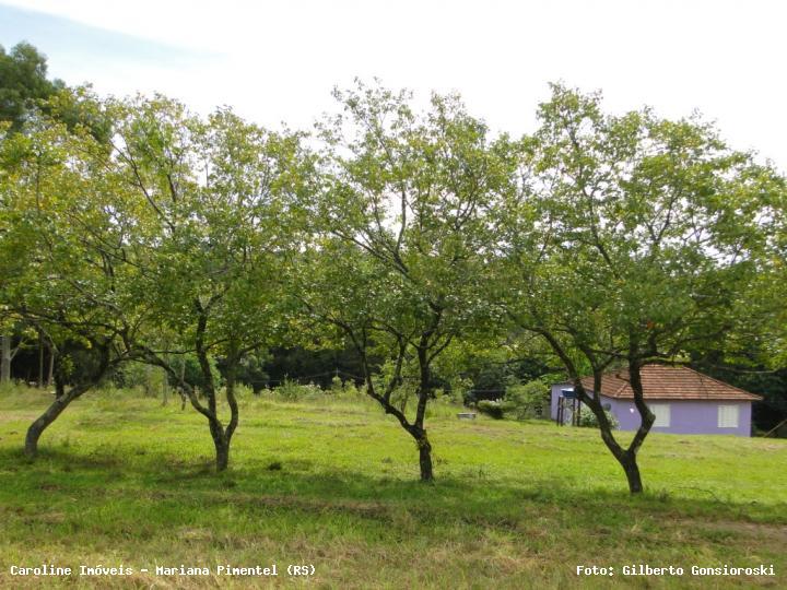 Fazenda à venda com 3 quartos, 24172m² - Foto 17