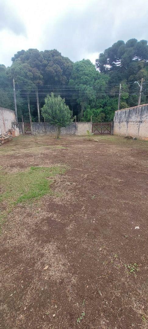 Terreno à venda, 360M2 - Foto 5