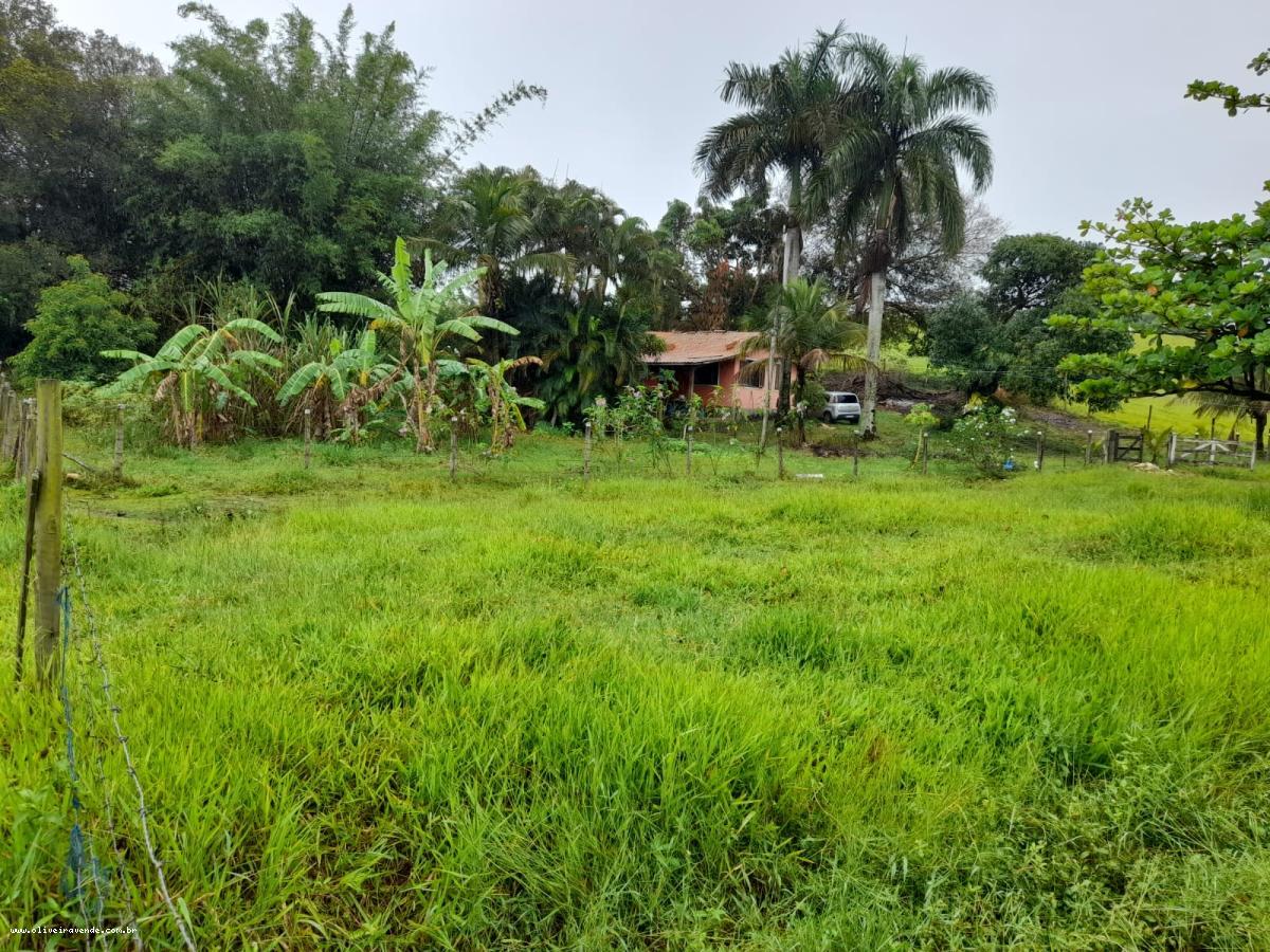 Fazenda à venda com 2 quartos, 61000m² - Foto 1