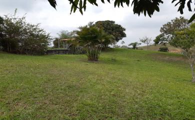 Sítio à venda com 3 quartos, 87000m² - Foto 10