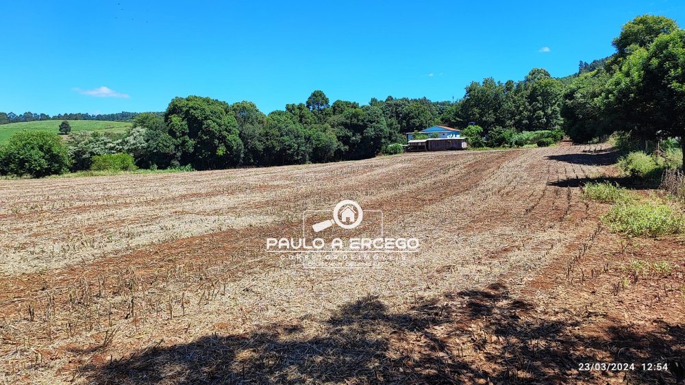 Chácara, 3 quartos, 3 hectares - Foto 4