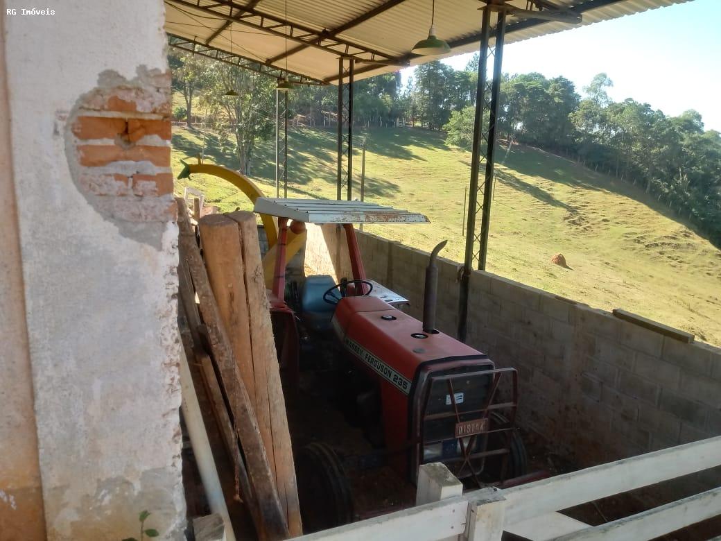 Sítio à venda com 3 quartos, 220m² - Foto 4