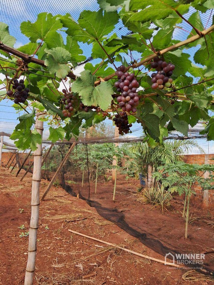 Chácara à venda com 3 quartos, 4500M2 - Foto 17