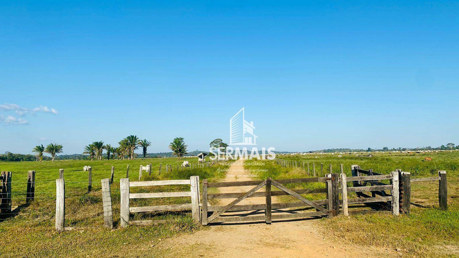 Fazenda à venda, 562M2 - Foto 5