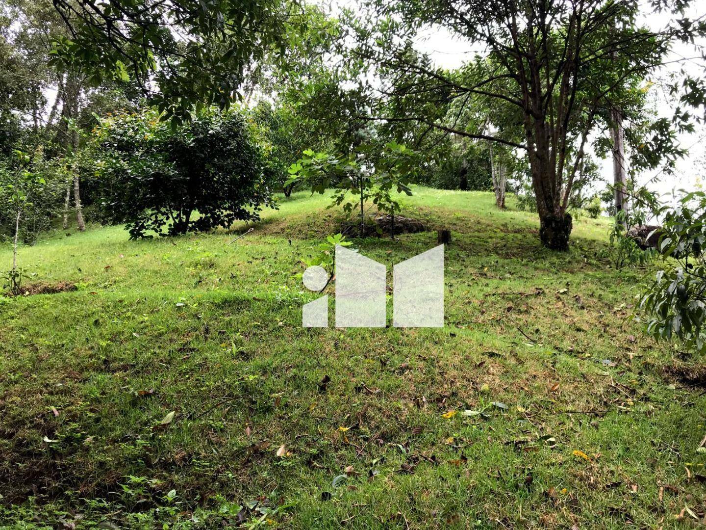 Sítio à venda com 9 quartos, 420m² - Foto 11