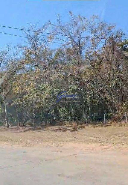 Fazenda-Sítio-Chácara, 1186 hectares - Foto 4