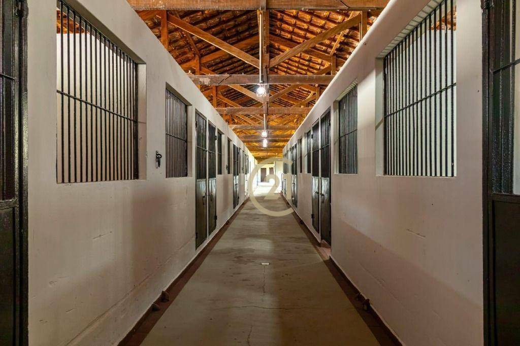 Haras e Área Rural Padrão à venda, 800m² - Foto 4