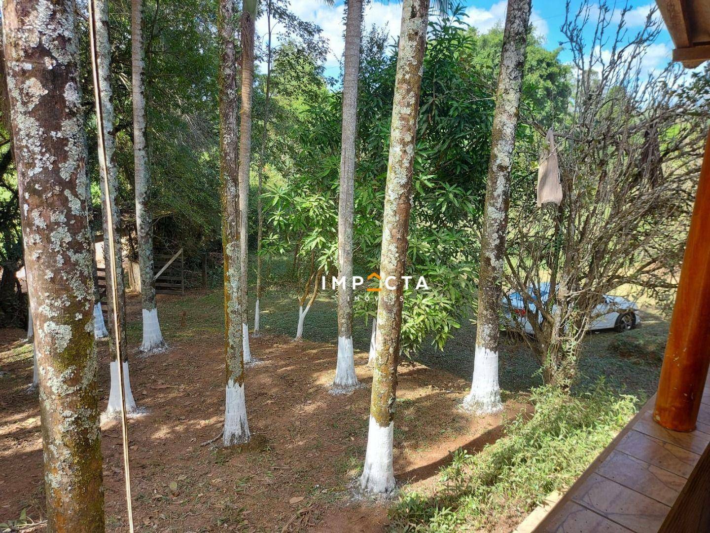 Chácara à venda com 2 quartos, 10500M2 - Foto 13