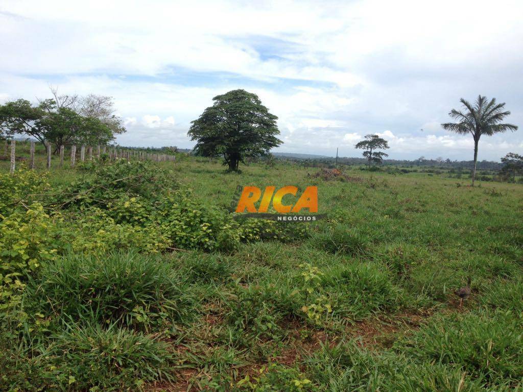 Fazenda à venda com 3 quartos, 1000000M2 - Foto 23