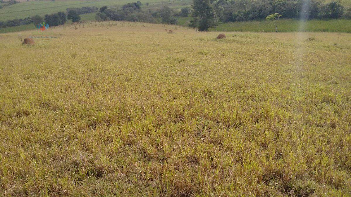 Fazenda à venda com 2 quartos, 1984400m² - Foto 19