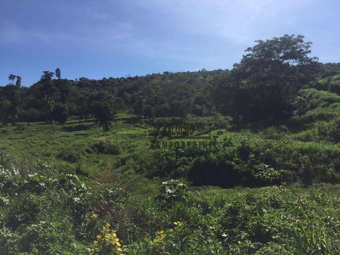 Fazenda à venda, 5469200M2 - Foto 47