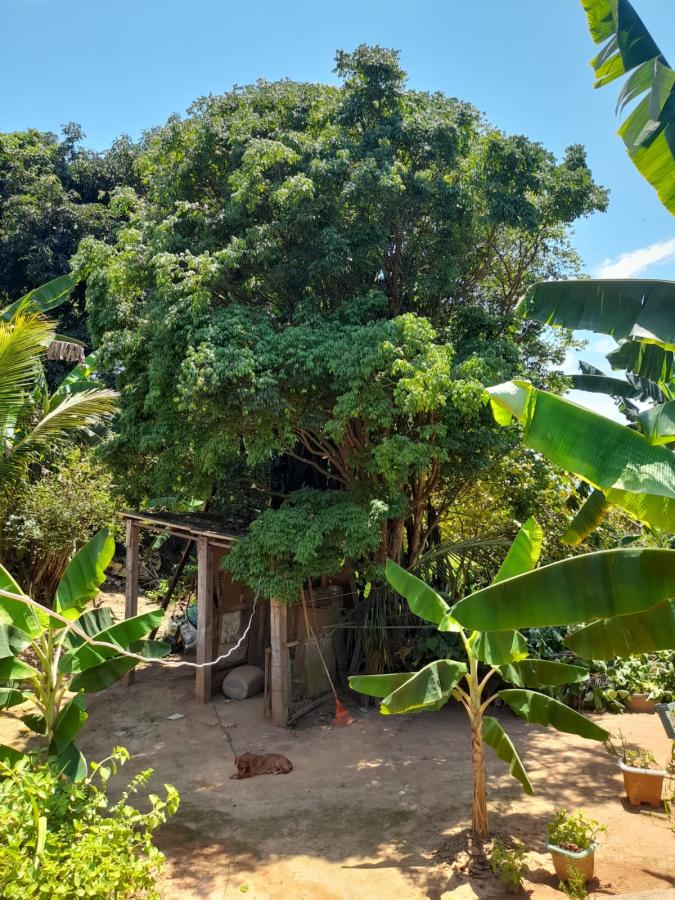 Fazenda à venda com 3 quartos, 1000m² - Foto 24