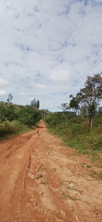 Sítio à venda com 3 quartos, 67000m² - Foto 39