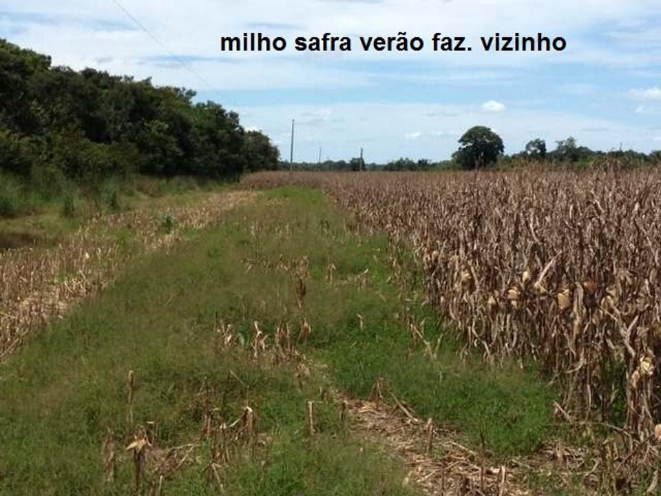 Fazenda à venda, 430000M2 - Foto 21