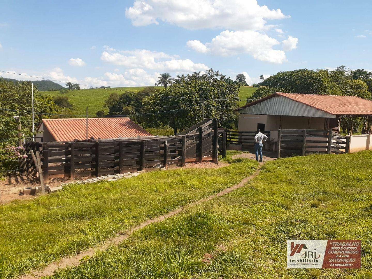 Sítio à venda com 3 quartos, 6000M2 - Foto 6