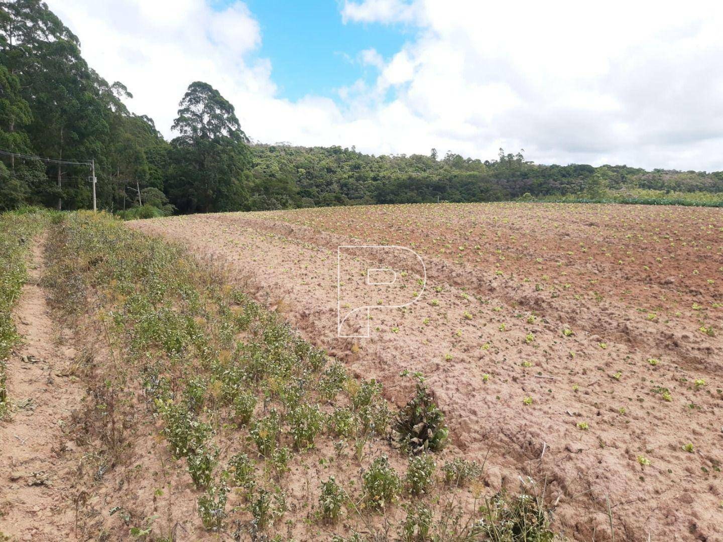 Terreno à venda, 39000M2 - Foto 6