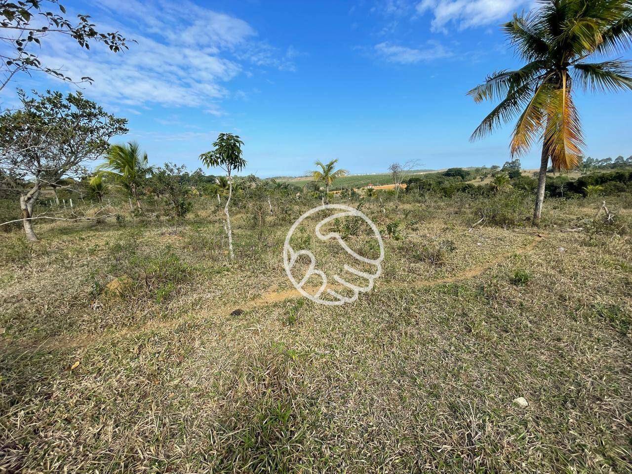 Sítio, 12 hectares - Foto 19